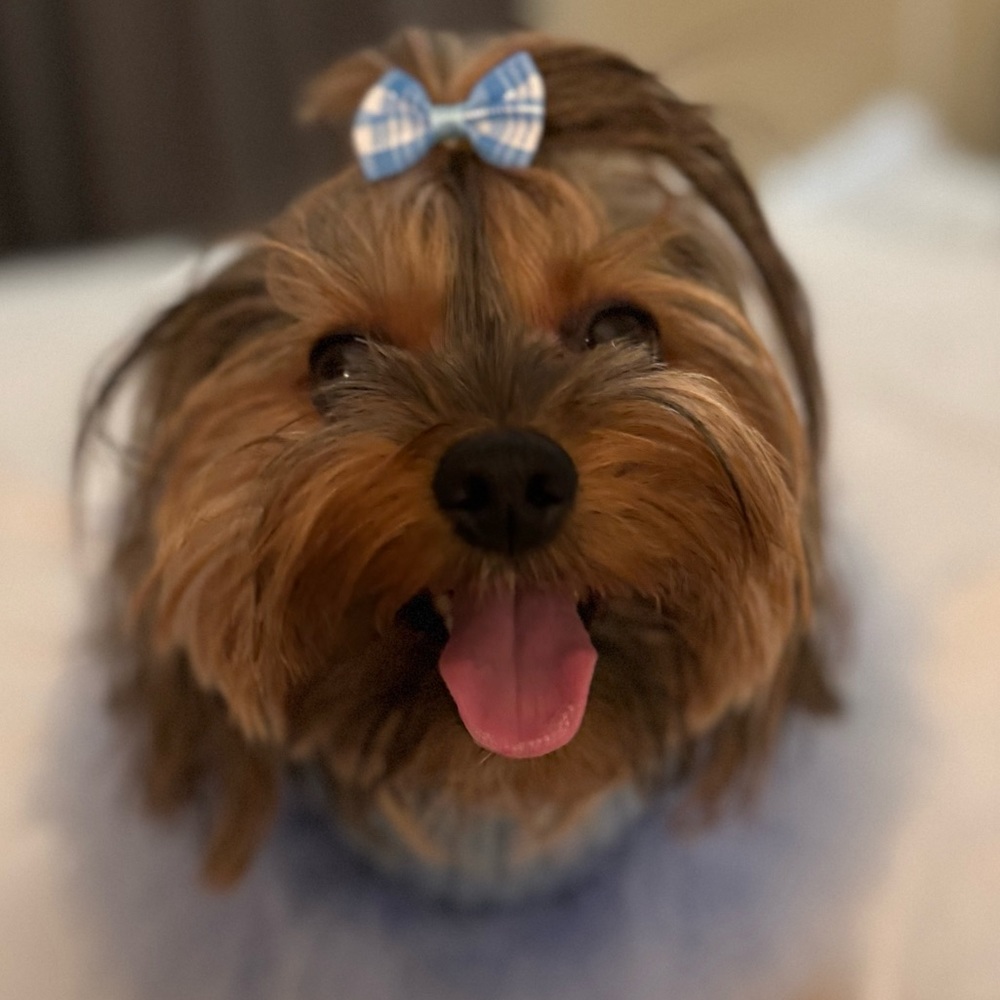 Meet your Posher, Truffles